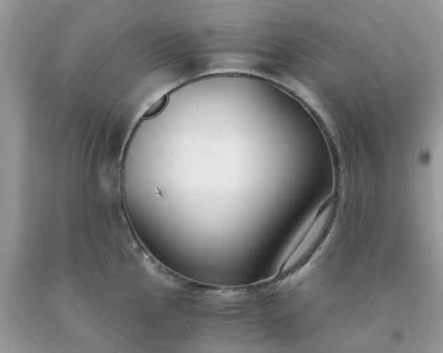 X0000091681145200709061058
