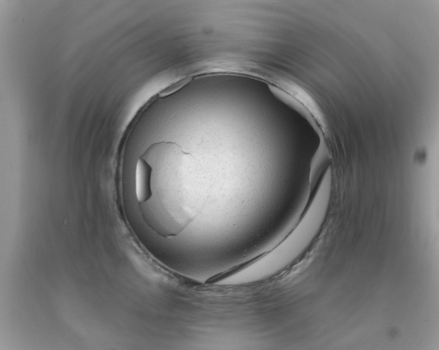 X0000091681146200709061058