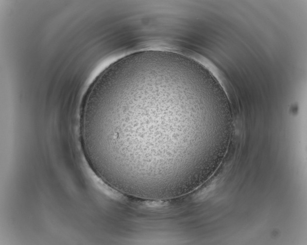 X0000091681147200709061058