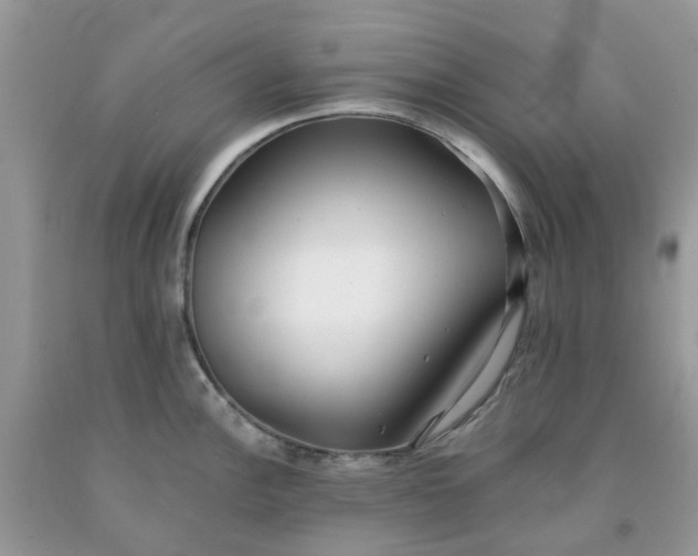 X0000091681148200709061058