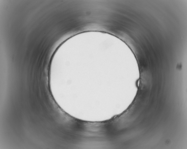 X0000091681150200709061058