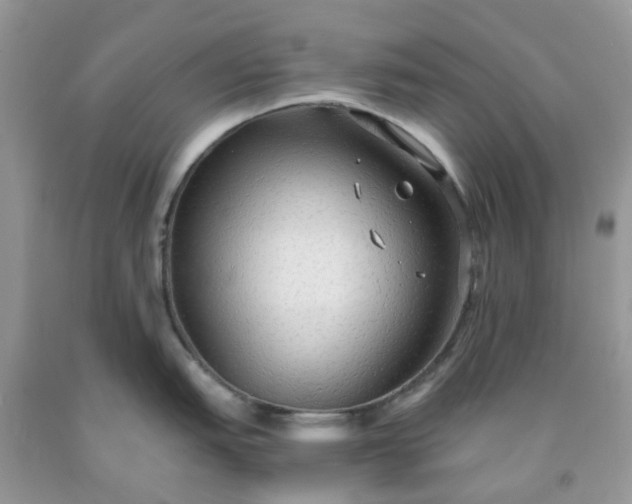 X0000091681151200709061058