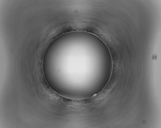 X0000091681153200709061058
