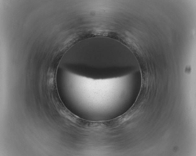 X0000091681154200709061058