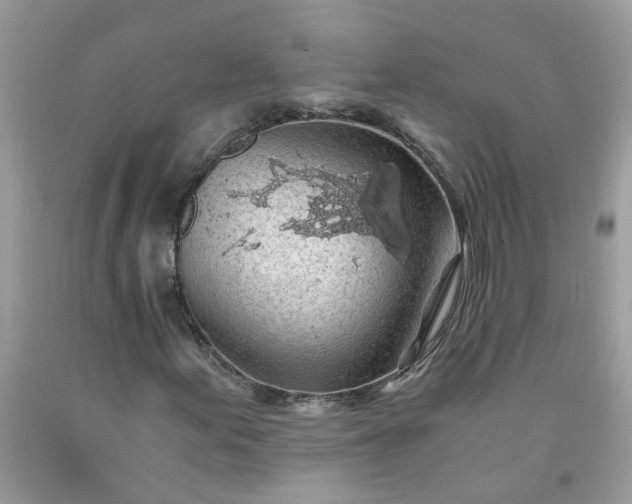 X0000091681155200709061058