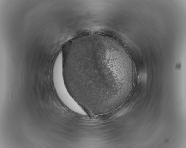 X0000091681156200709061058