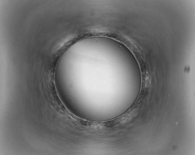 X0000091681157200709061058