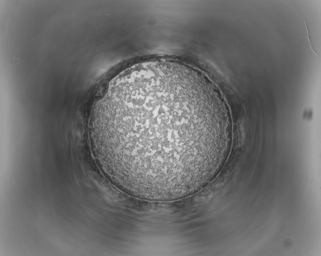 X0000091681158200709061058