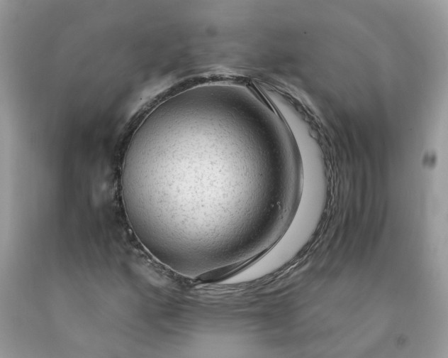 X0000091681160200709061058