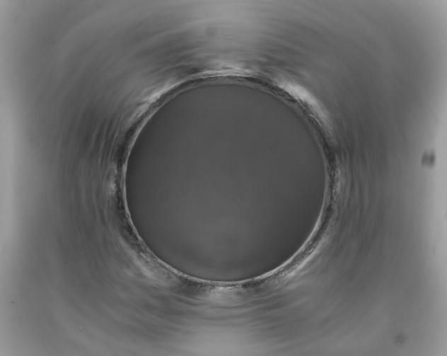 X0000091681161200709061058