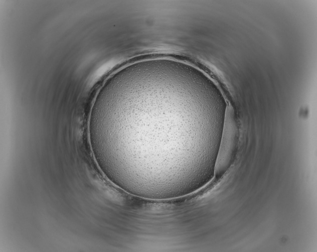 X0000091681163200709061058