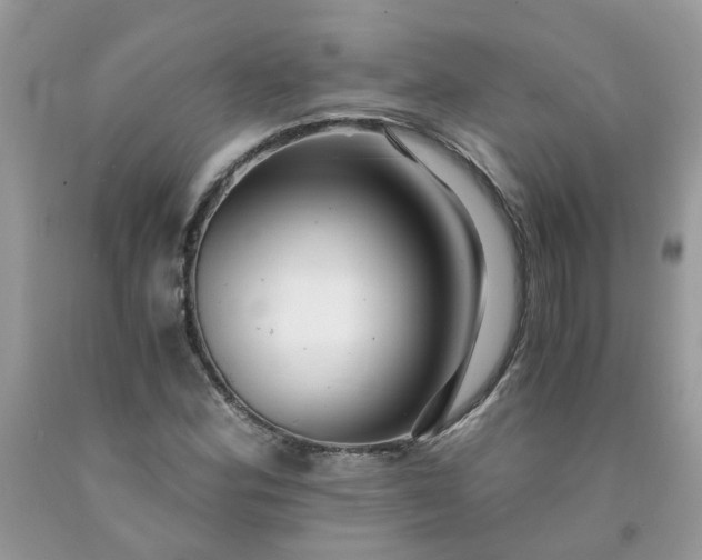 X0000091681164200709061058