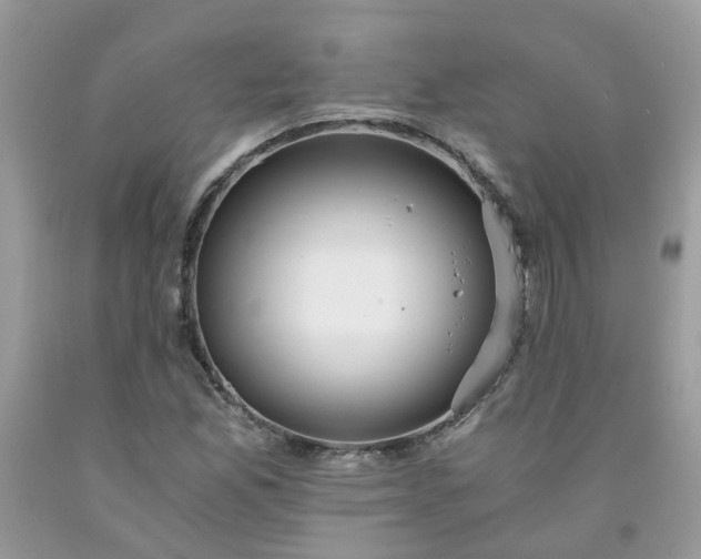 X0000091681165200709061058