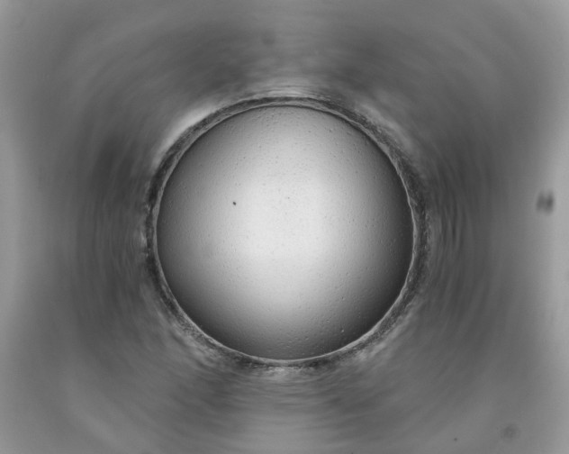 X0000091681166200709061058