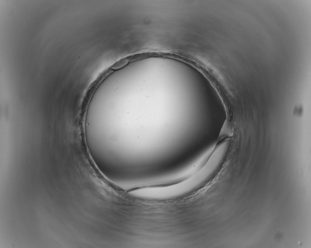 X0000091681168200709061058