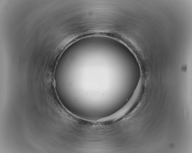 X0000091681169200709061058