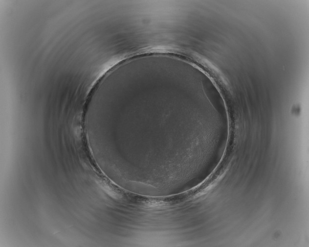 X0000091681170200709061058