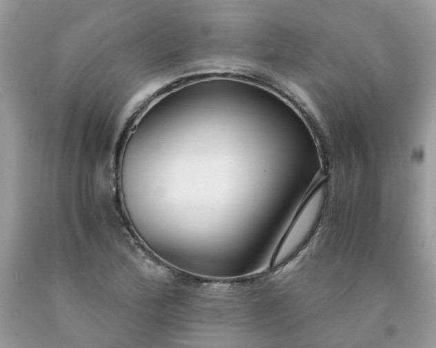 X0000091681172200709061058