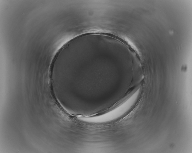 X0000091681173200709061058