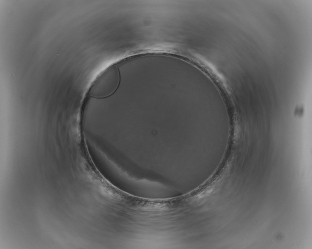 X0000091681174200709061058