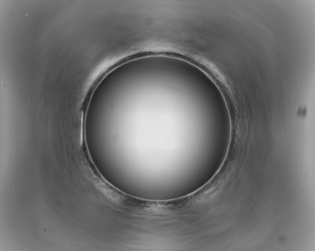 X0000091681175200709061058