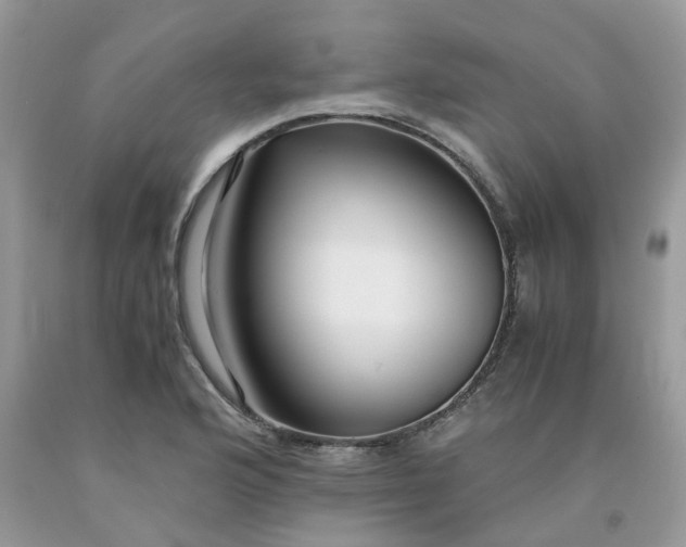 X0000091681176200709061058