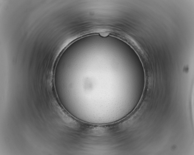 X0000091681178200709061058