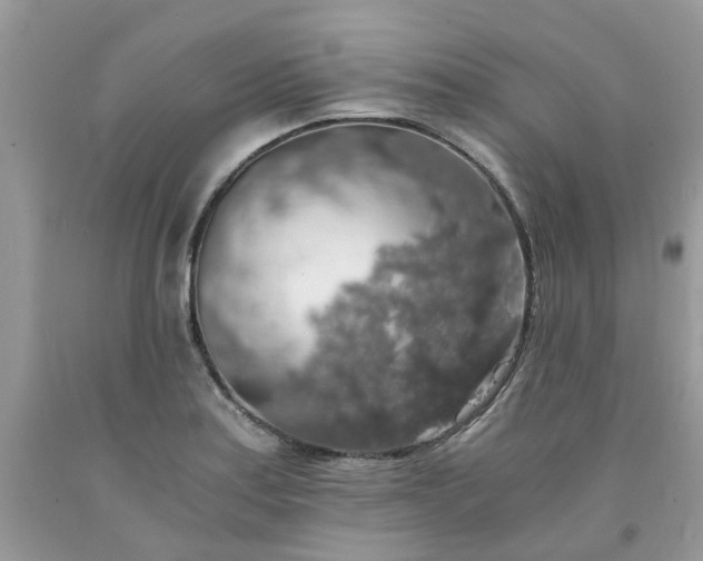 X0000091681179200709061058