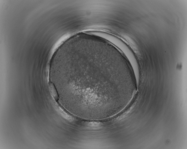 X0000091681180200709061058