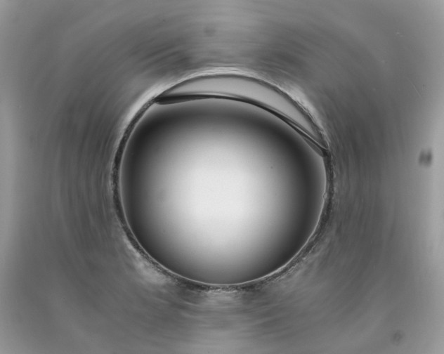 X0000091681181200709061058