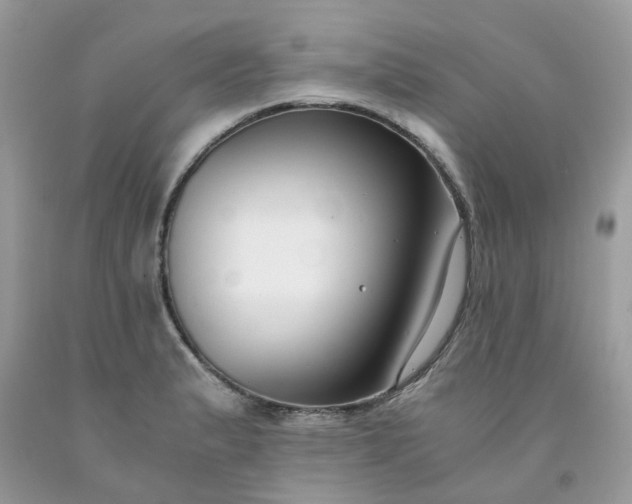 X0000091681183200709061058
