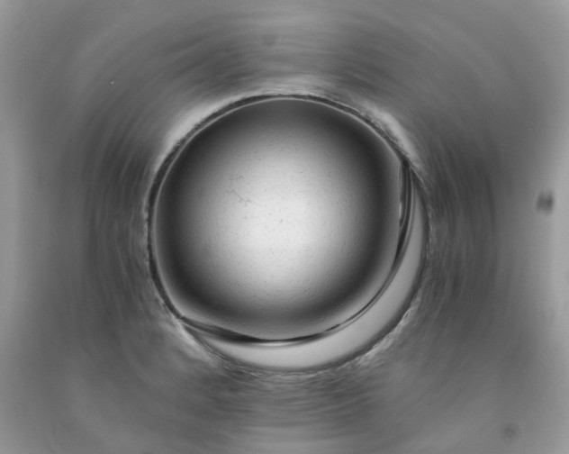 X0000091681184200709061058