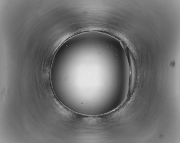 X0000091681185200709061058