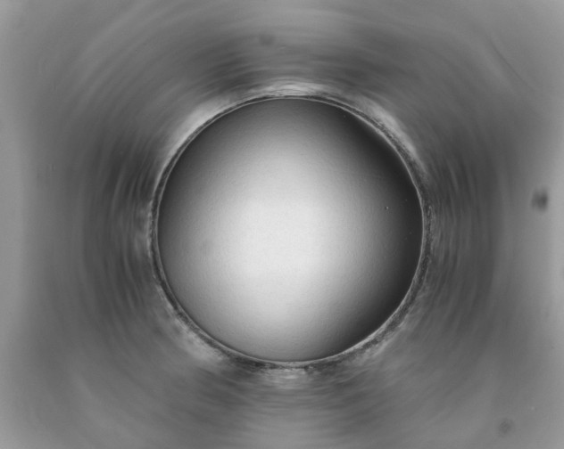 X0000091681186200709061058