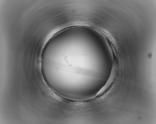 X0000091681188200709061057