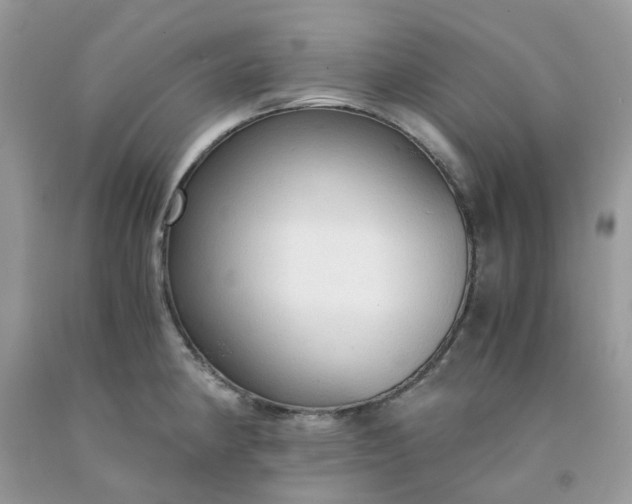 X0000091681190200709061057