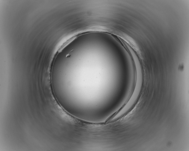 X0000091681192200709061057