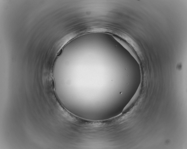 X0000091681193200709061057