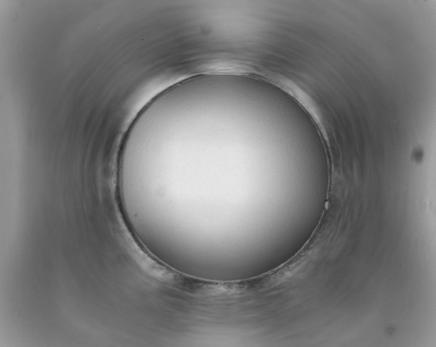 X0000091681195200709061057