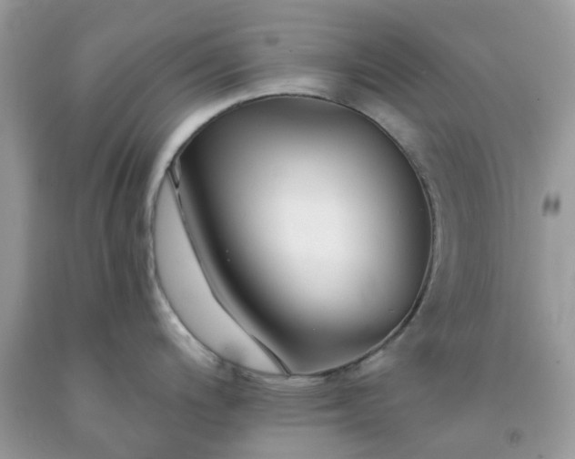 X0000091681200200709061057
