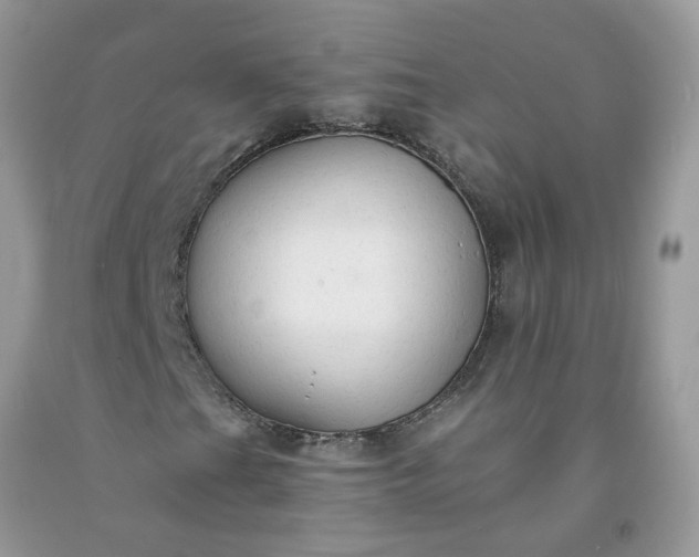X0000091681201200709061057