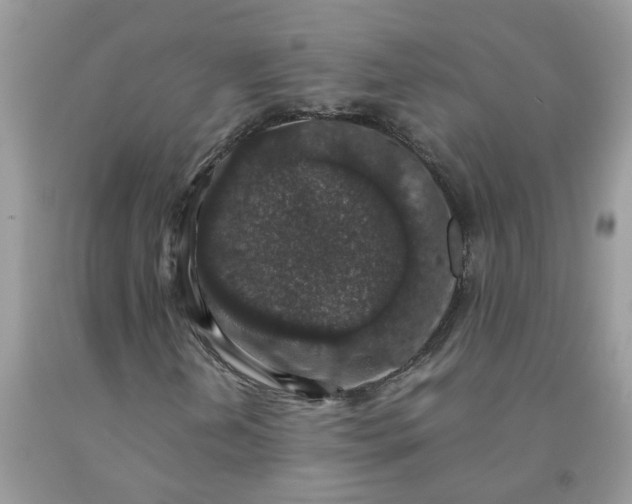 X0000091681202200709061057