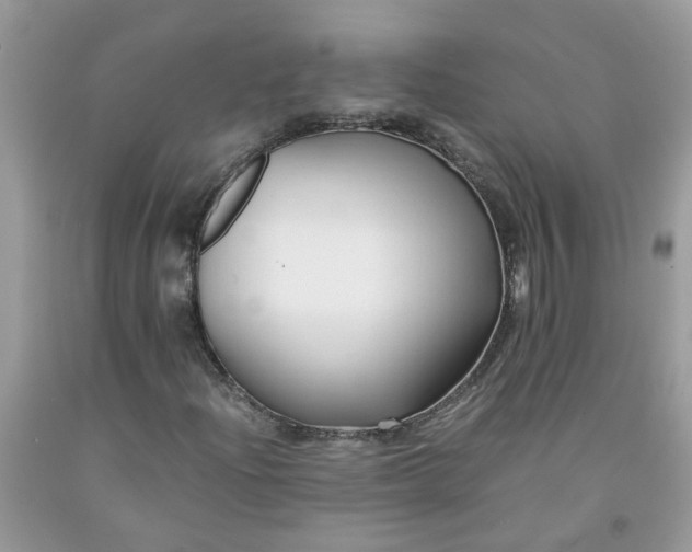 X0000091681204200709061057