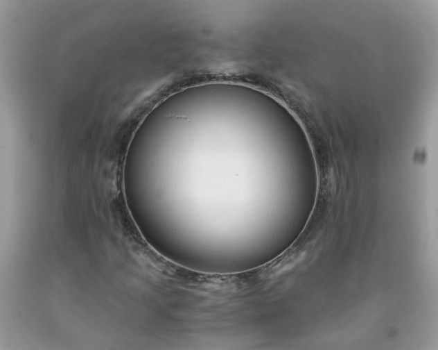 X0000091681205200709061057