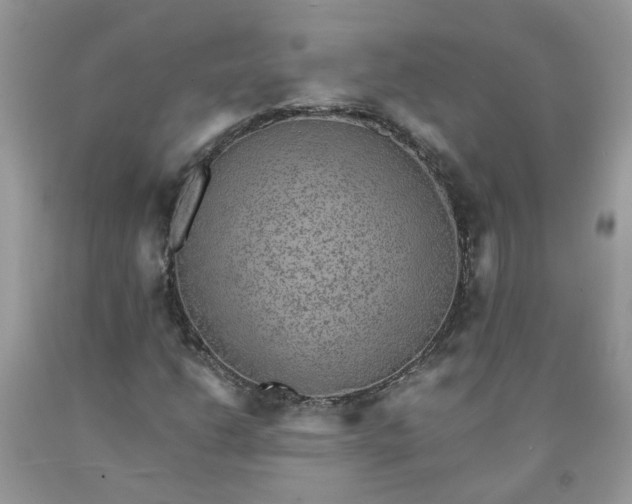 X0000091681206200709061057