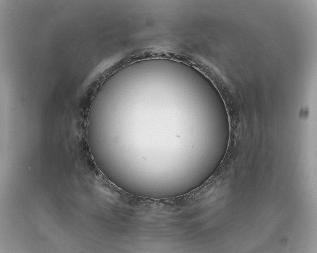X0000091681207200709061057
