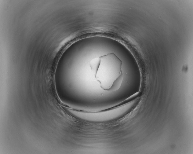 X0000091681210200709061057