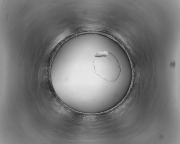 X0000091681211200709061057