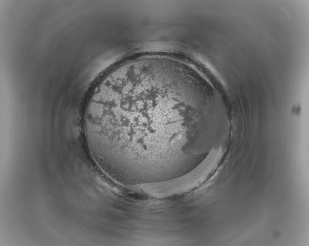 X0000091681213200709061057