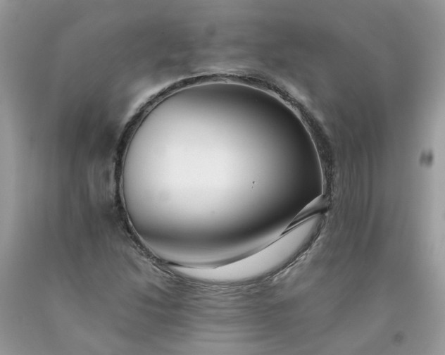 X0000091681214200709061057